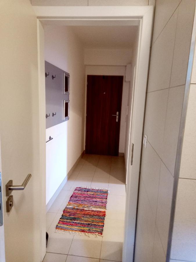 Apartmany Za Sneznikem Dolní Morava Exterior photo