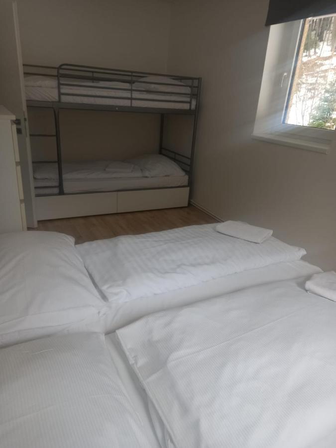 Apartmany Za Sneznikem Dolní Morava Exterior photo