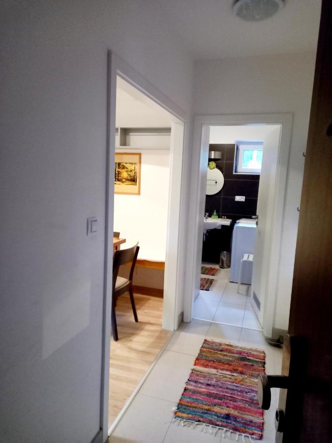 Apartmany Za Sneznikem Dolní Morava Exterior photo